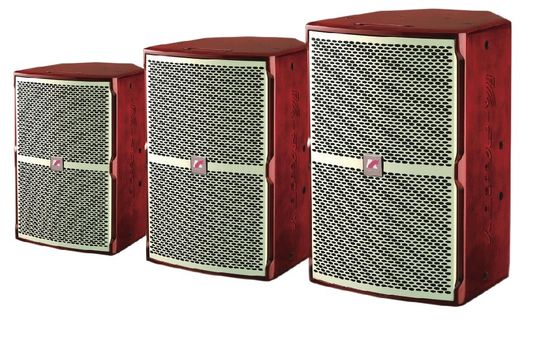 Ultra Strong Low Frequency KF Series Speaker KTV 45Hz-20KHz 250W 300W 400W Berbagai Suara Kompleks