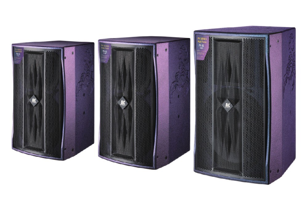 PK Series Two Way Full Frequency Speaker Birch Plywood Box Body 10 12 15 Inch